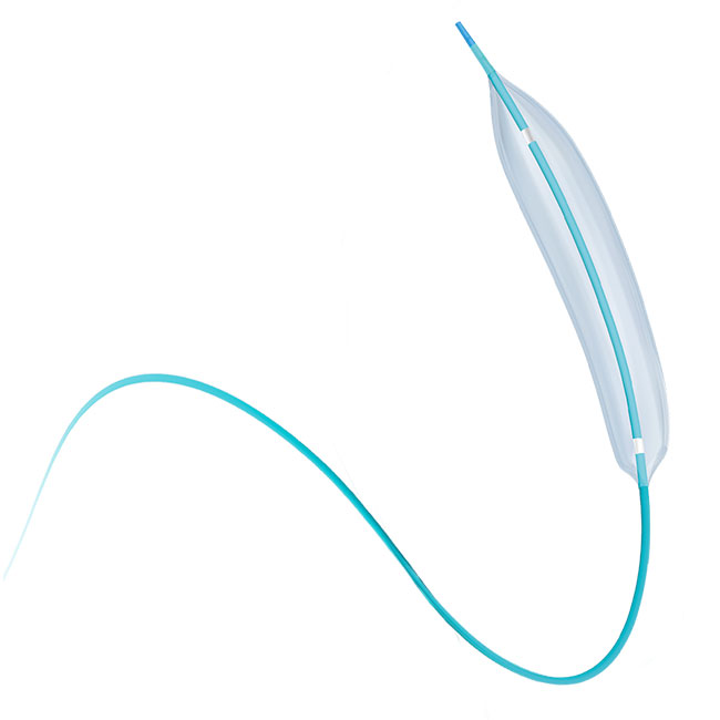 PTCA balloon dilatation catheter with CE mark